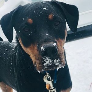 Meet your Posher, Danielle